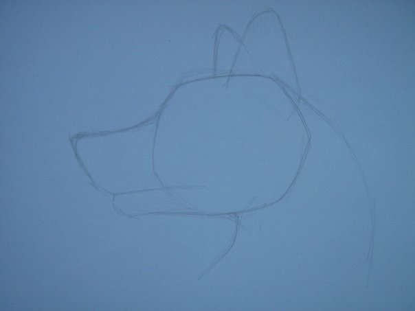 Урок: Рисуем волка. Секрет рисования шерсти.Простенький урок X_43ebee3f