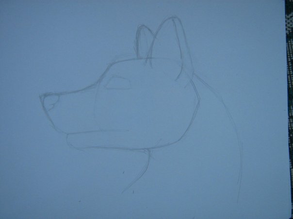 Урок: Рисуем волка. Секрет рисования шерсти.Простенький урок X_c4c35d4e